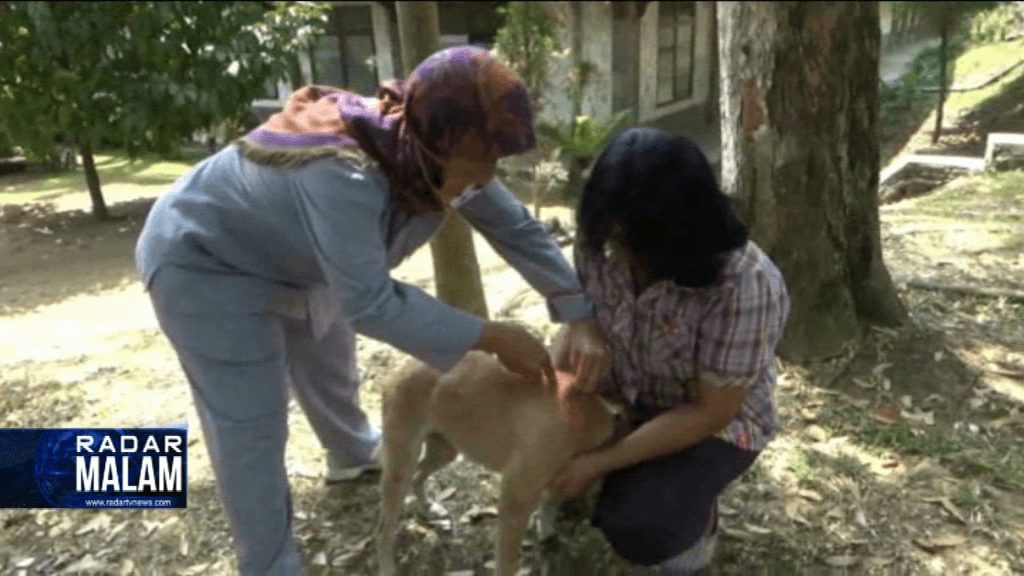 Cegah Rabies, Hewan Peliharaan Divaksin